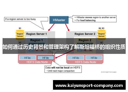 如何通过历史背景和管理架构了解斯坦福桥的组织性质